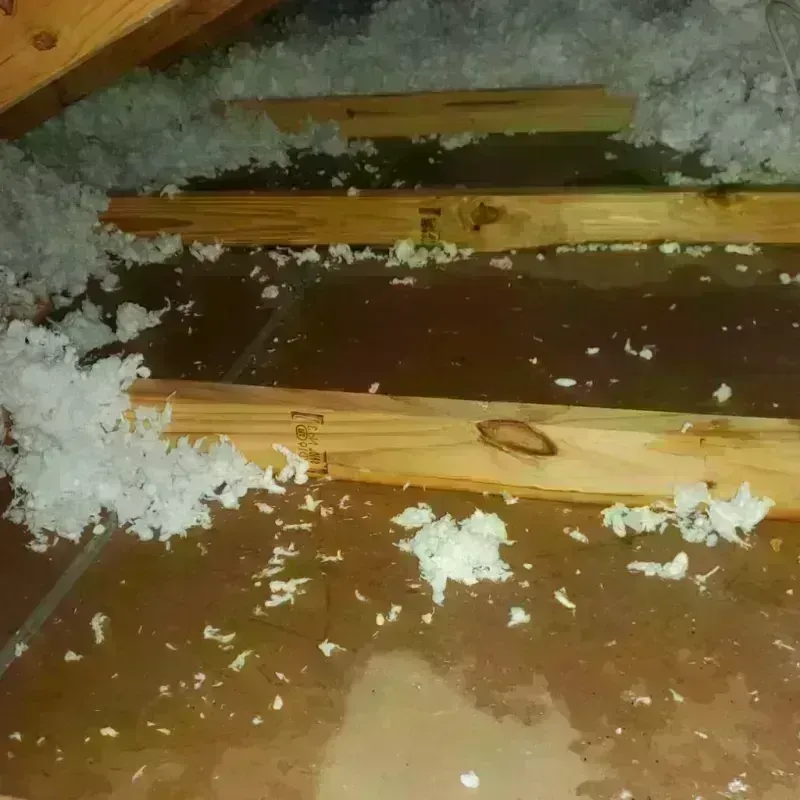 Attic Water Damage in Brazil, IN