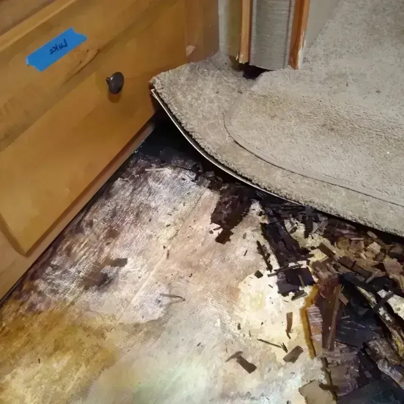 Wood Floor Water Damage in Brazil, IN